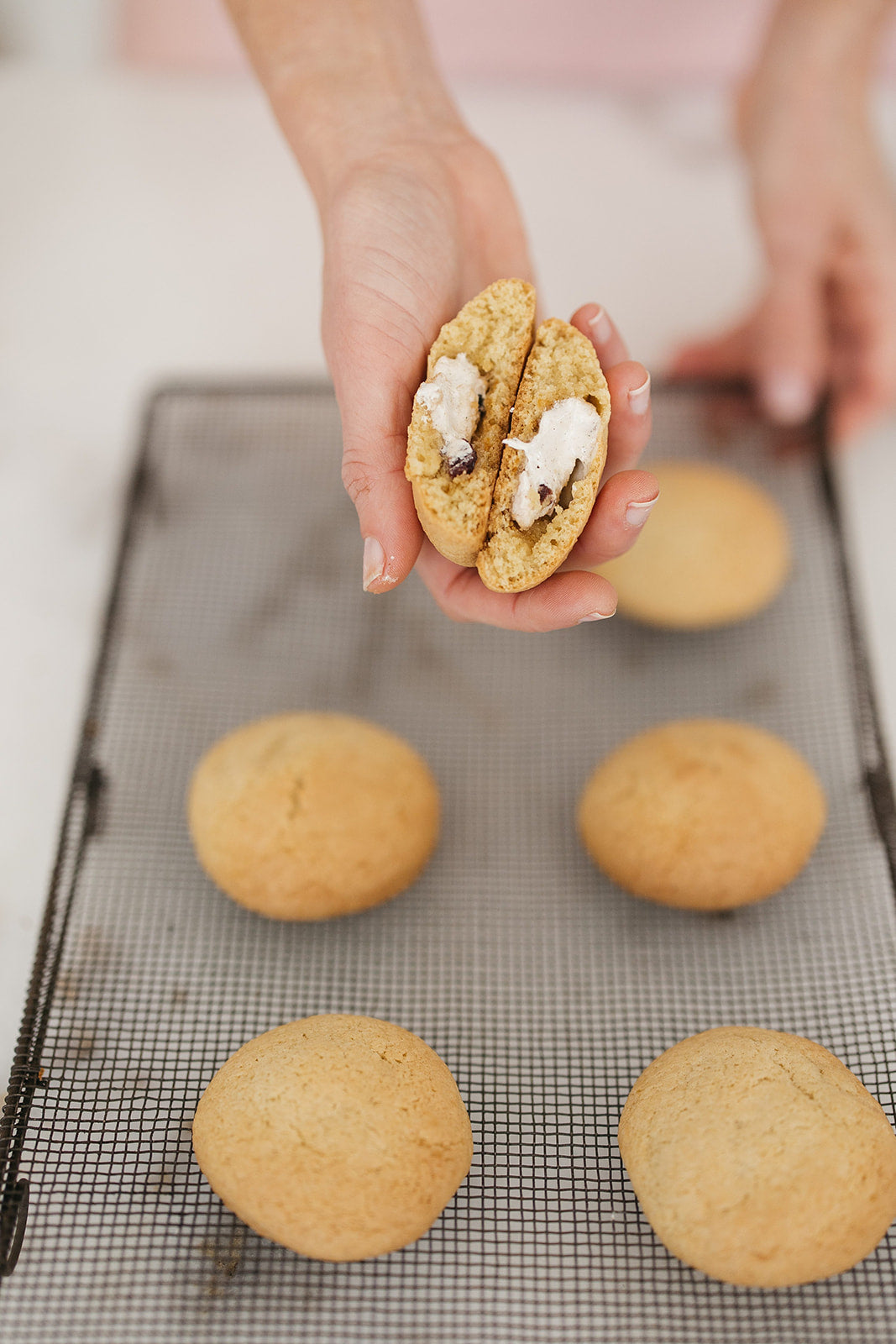 Festive Vanilla Cookie Kit - POETRY EXCLUSIVE